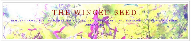 the wingedseed blog